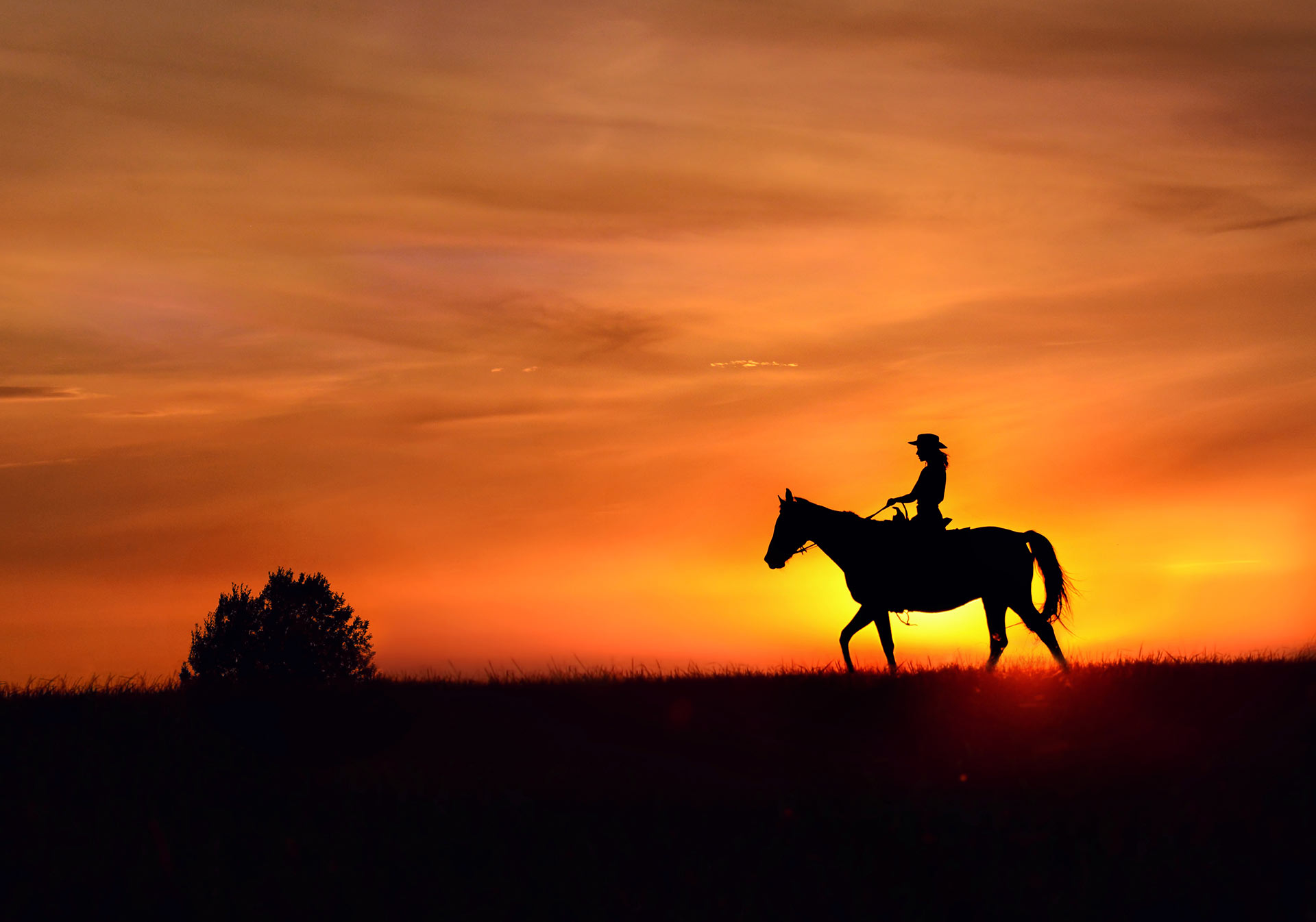 A horse and an incredible sunset! What a perfect evening!