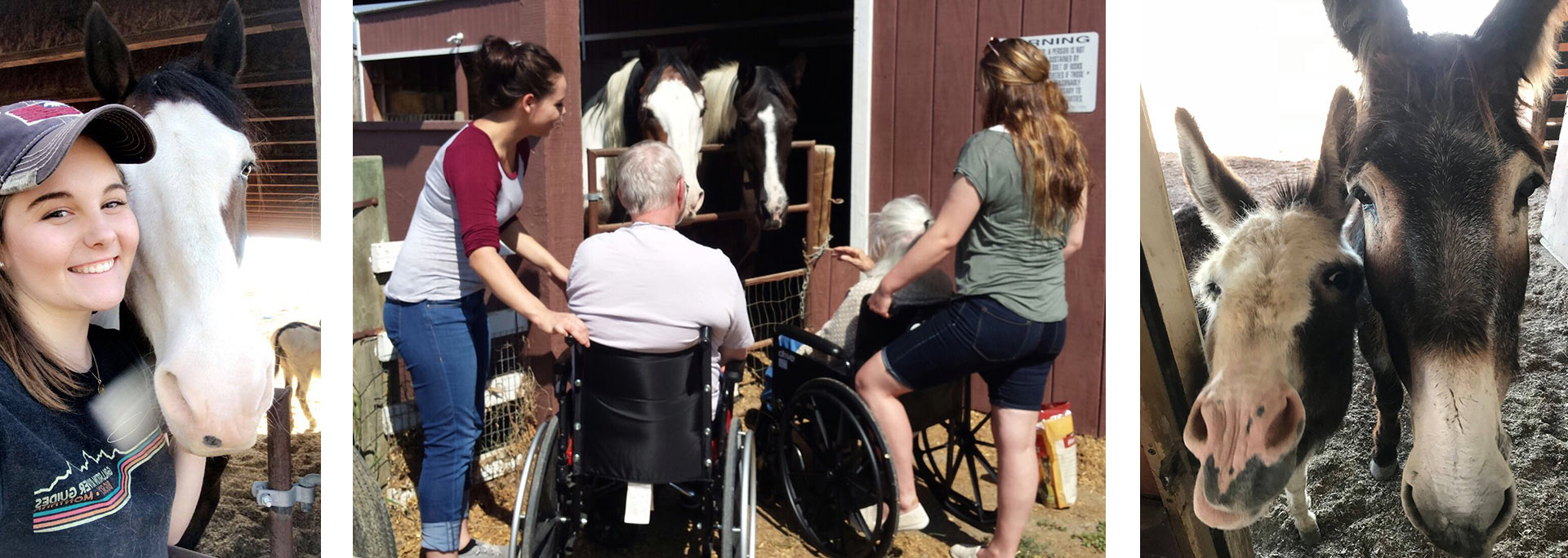 Volunteers and participants at Angel Horses, Inc. in Billing, MT