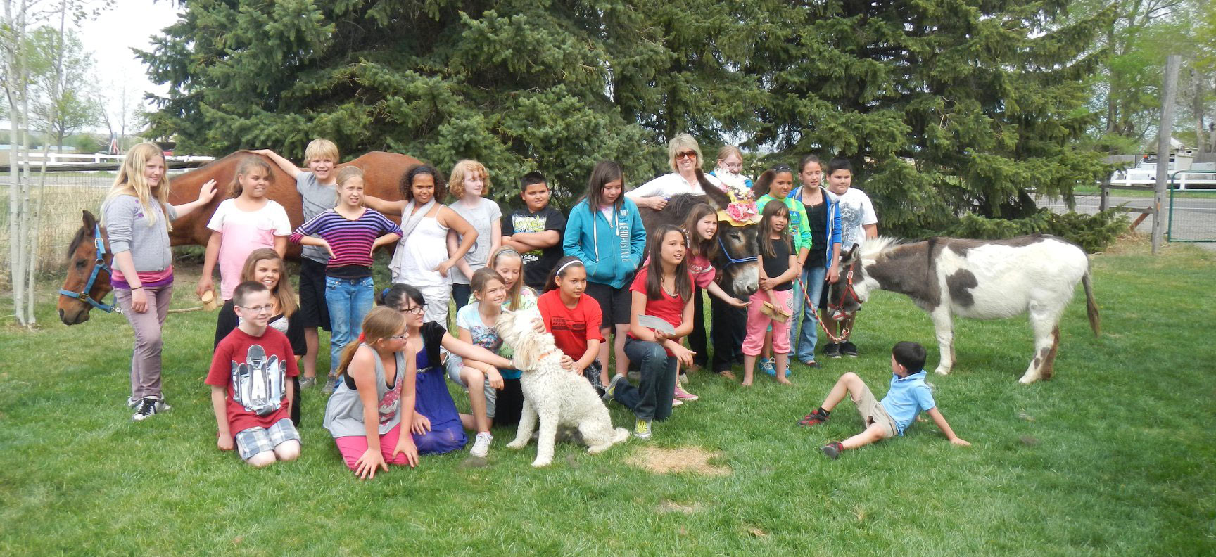 Volunteers and participants at Angel Horses, Inc. in Billing, MT