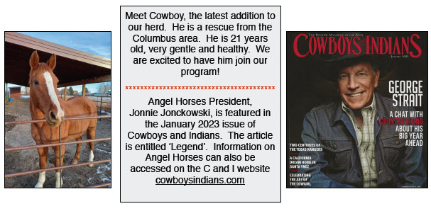 Angel Horses Holiday 2022 Newsletter Cover