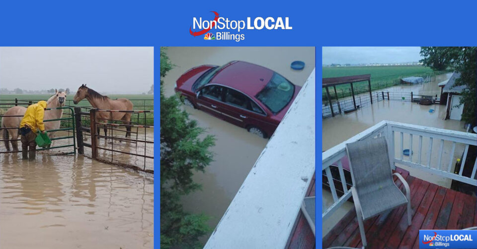 Angel Horses Flooded – News Story on Billings Local News Station KULR8